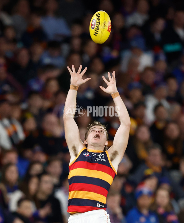 AFL 2025 Round 18 - Western Bulldogs v Adelaide - A-60481845