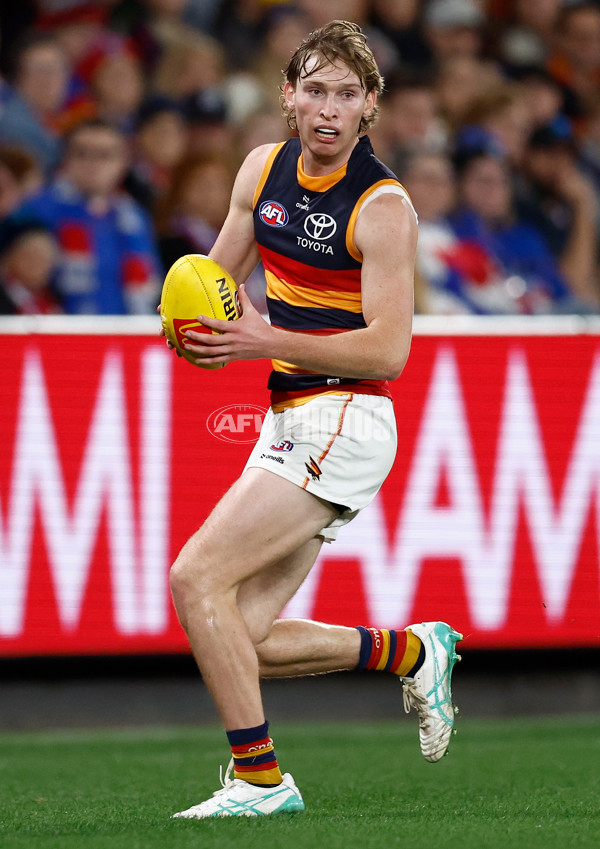 AFL 2025 Round 18 - Western Bulldogs v Adelaide - A-60483471