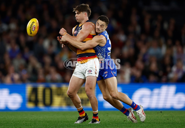 AFL 2025 Round 18 - Western Bulldogs v Adelaide - A-60483490
