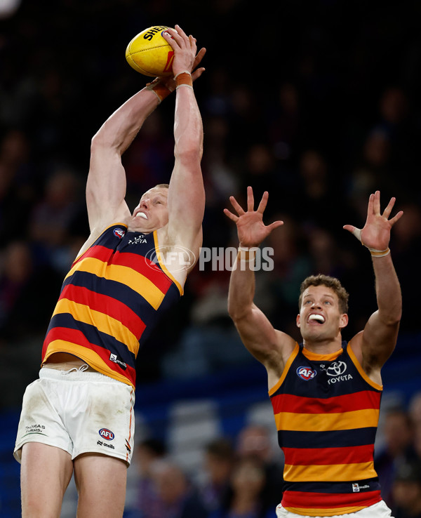 AFL 2025 Round 18 - Western Bulldogs v Adelaide - A-60483534