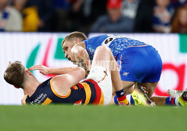 AFL 2025 Round 18 - Western Bulldogs v Adelaide - A-60484428