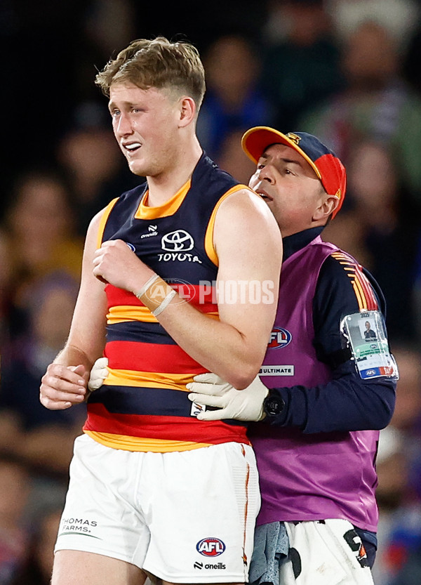 AFL 2025 Round 18 - Western Bulldogs v Adelaide - A-60485685