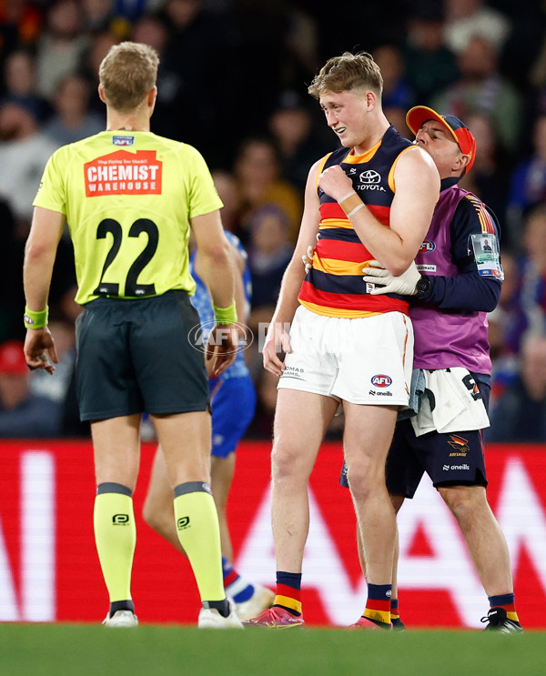 AFL 2025 Round 18 - Western Bulldogs v Adelaide - A-60485687