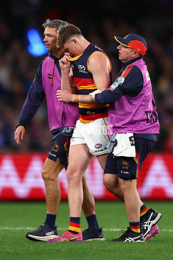 AFL 2025 Round 18 - Western Bulldogs v Adelaide - A-60485695