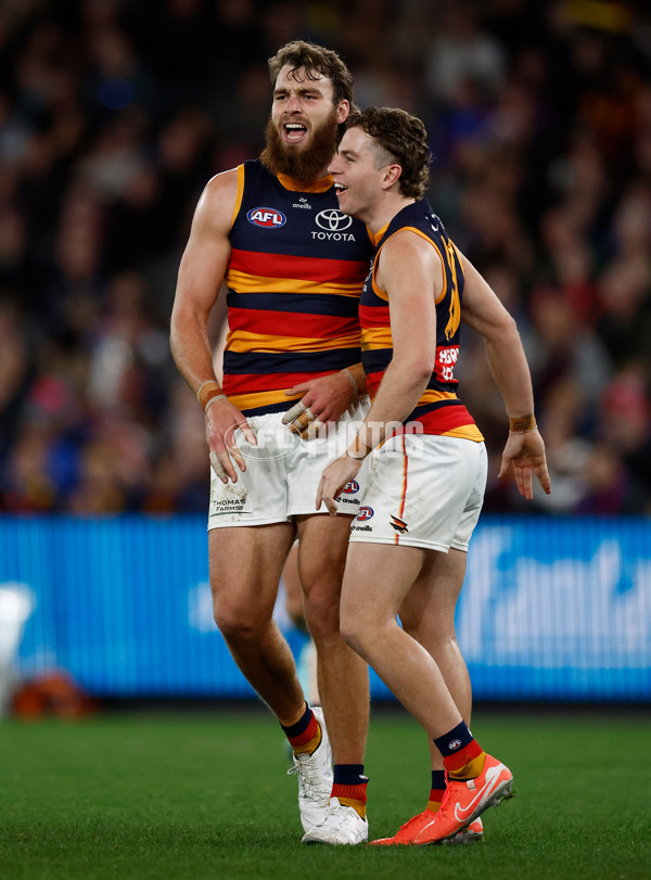 AFL 2025 Round 18 - Western Bulldogs v Adelaide - A-60486913