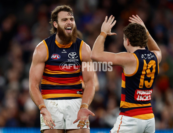 AFL 2025 Round 18 - Western Bulldogs v Adelaide - A-60486918