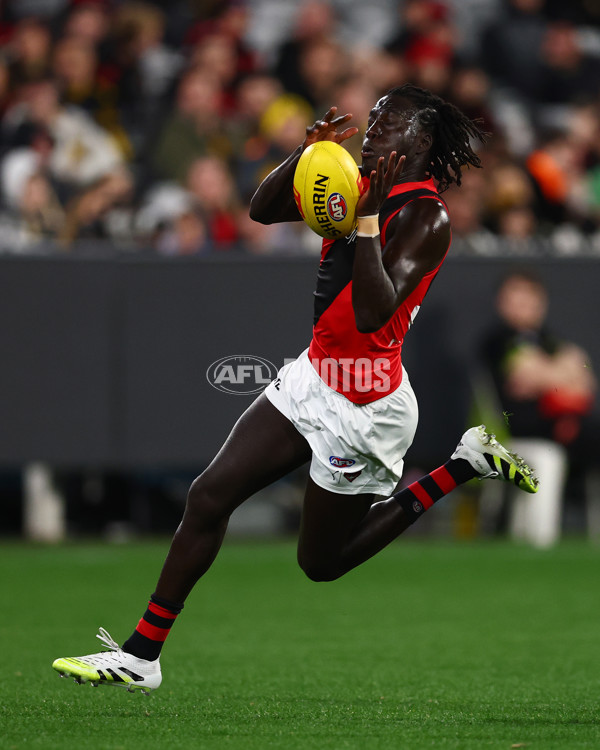 AFL 2025 Round 18 - Richmond v Essendon - A-60499493