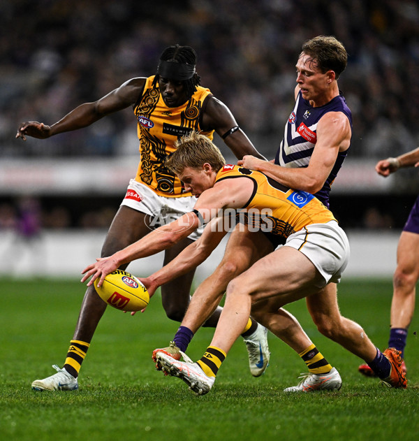 AFL 2025 Round 18 - Fremantle v Hawthorn - A-60502385