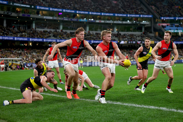 AFL 2025 Round 18 - Richmond v Essendon - A-60515336