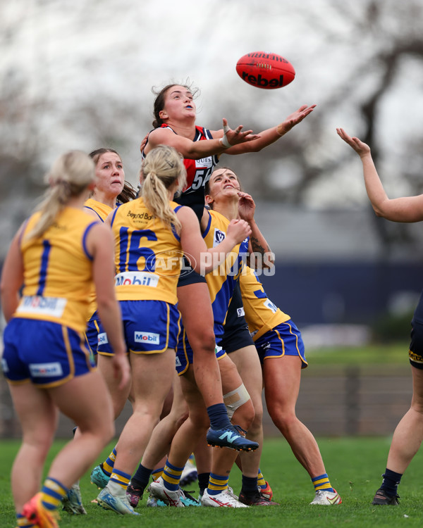VFLW 2025 Round 12 - Darebin v Williamstown - A-60516353