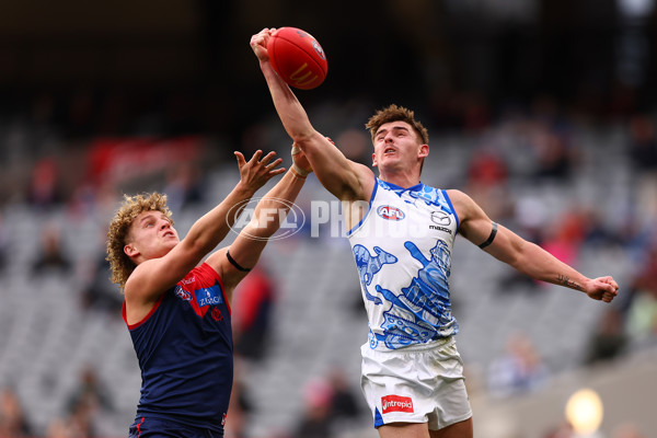AFL 2025 Round 18 - Melbourne v North Melbourne - A-60523374