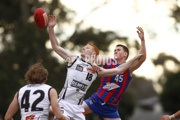Coates League Boys 2025 Round 15 - GWV Rebels v Oakleigh Chargers - A-60526077