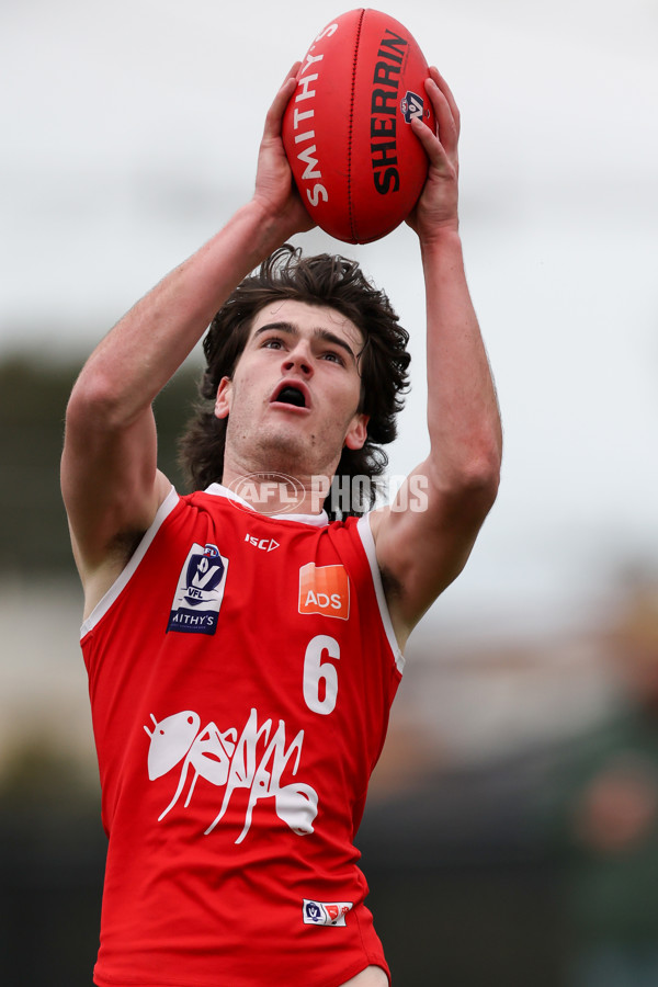 VFL 2025 Round 16 - Northern Bullants v Williamstown - A-60528729