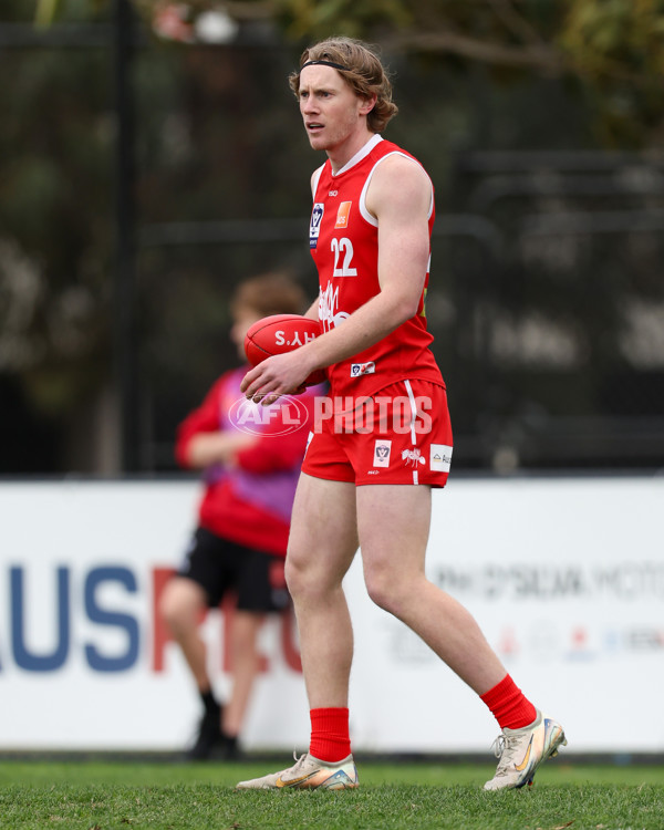 VFL 2025 Round 16 - Northern Bullants v Williamstown - A-60535947