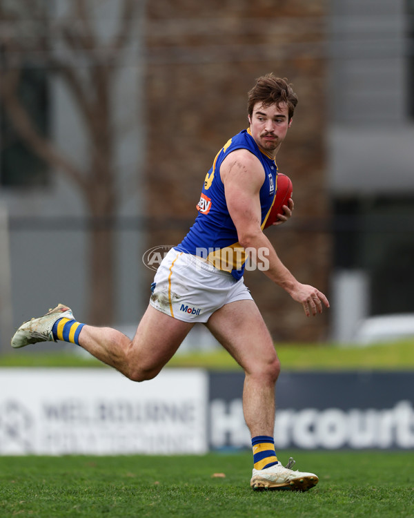 VFL 2025 Round 16 - Northern Bullants v Williamstown - A-60540079