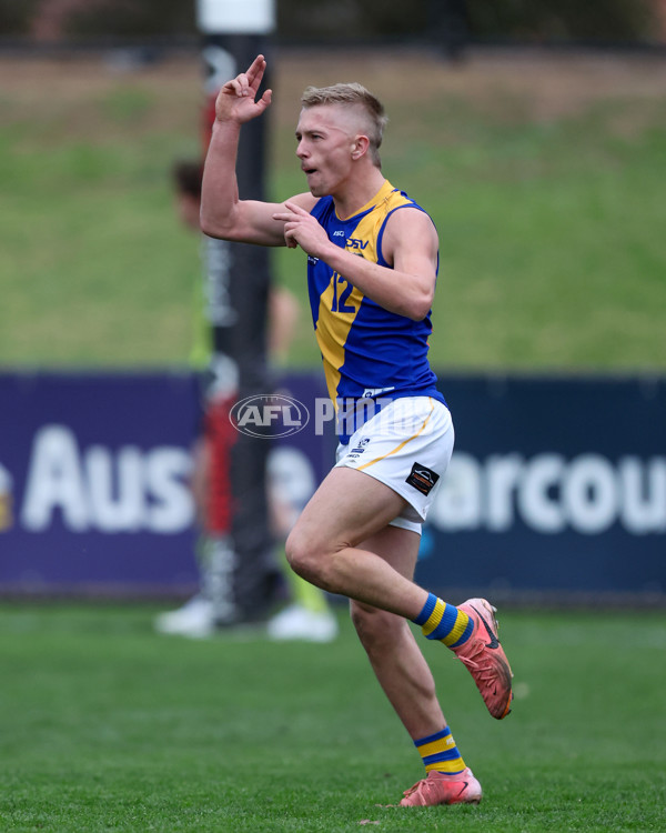 VFL 2025 Round 16 - Northern Bullants v Williamstown - A-60540084