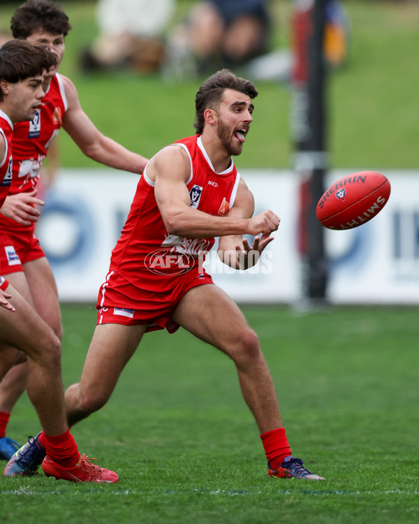 VFL 2025 Round 16 - Northern Bullants v Williamstown - A-60540085