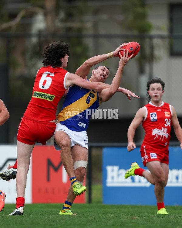 VFL 2025 Round 16 - Northern Bullants v Williamstown - A-60540088