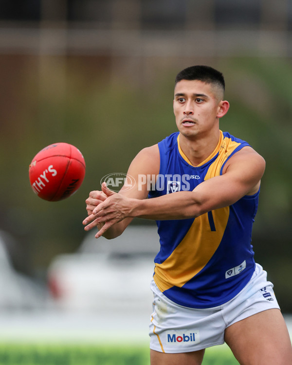 VFL 2025 Round 16 - Northern Bullants v Williamstown - A-60540089