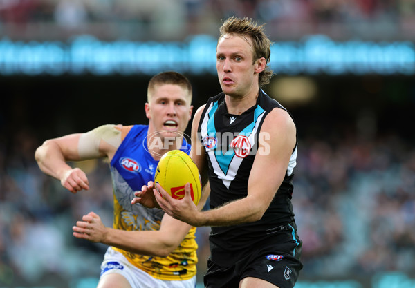 AFL 2025 Round 18 - Port Adelaide v West Coast - A-60542882