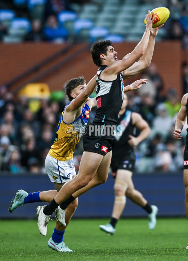 AFL 2025 Round 18 - Port Adelaide v West Coast - A-60542896