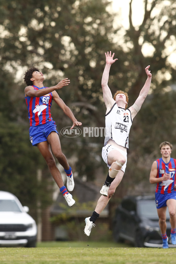 Coates League Boys 2025 Round 15 - GWV Rebels v Oakleigh Chargers - A-60542911