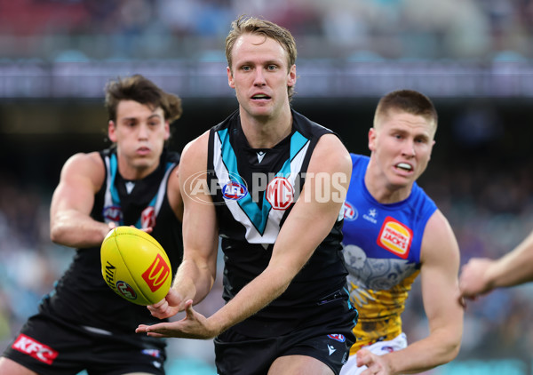 AFL 2025 Round 18 - Port Adelaide v West Coast - A-60543463