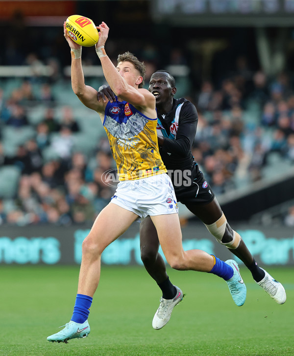 AFL 2025 Round 18 - Port Adelaide v West Coast - A-60543473