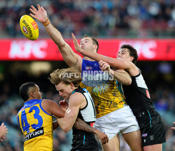 AFL 2025 Round 18 - Port Adelaide v West Coast - A-60545417