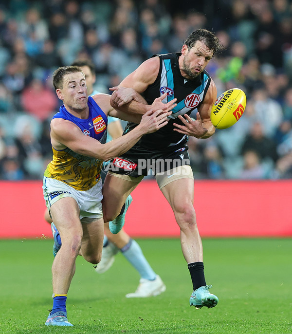 AFL 2025 Round 18 - Port Adelaide v West Coast - A-60546278