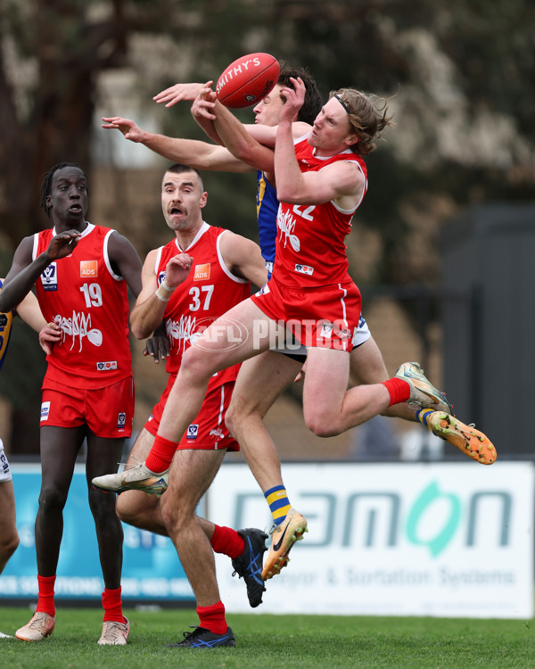 VFL 2025 Round 16 - Northern Bullants v Williamstown - A-60546319