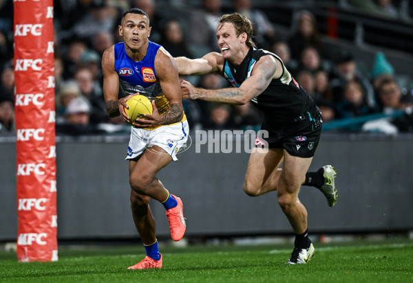 AFL 2025 Round 18 - Port Adelaide v West Coast - A-60548412