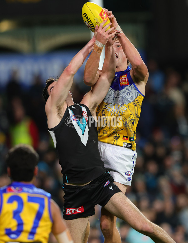AFL 2025 Round 18 - Port Adelaide v West Coast - A-60548718