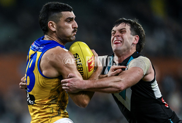 AFL 2025 Round 18 - Port Adelaide v West Coast - A-60548792