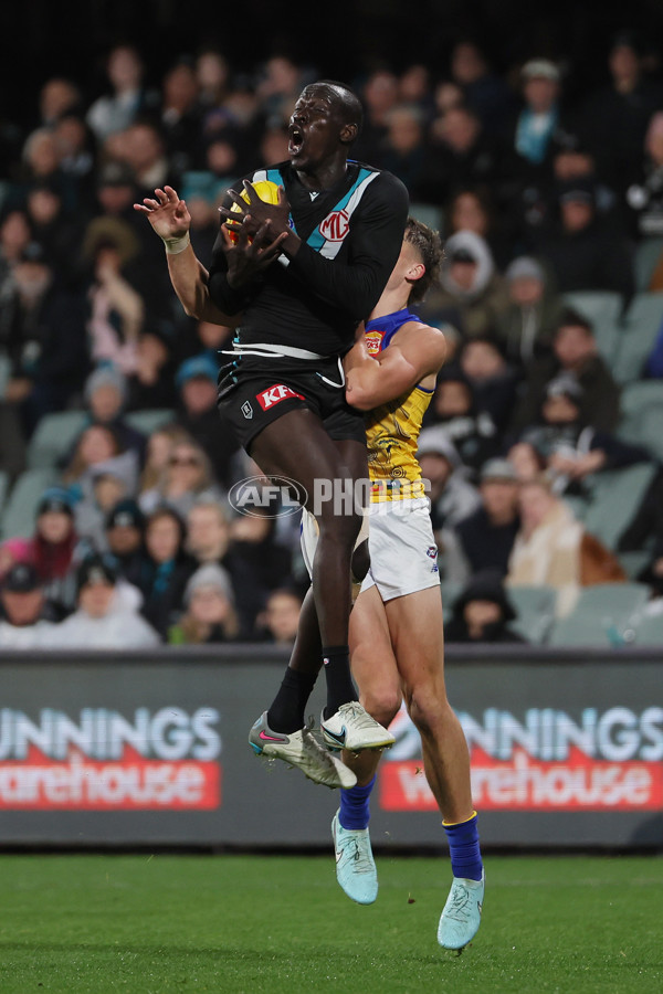 AFL 2025 Round 18 - Port Adelaide v West Coast - A-60551022