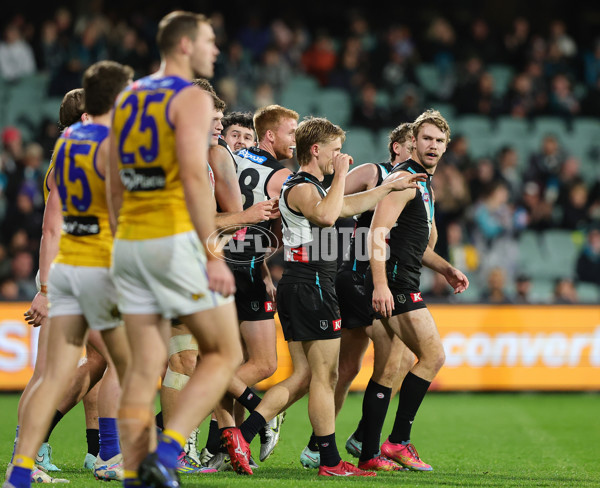 AFL 2025 Round 18 - Port Adelaide v West Coast - A-60551043