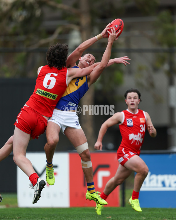 VFL 2025 Round 16 - Northern Bullants v Williamstown - A-60551059