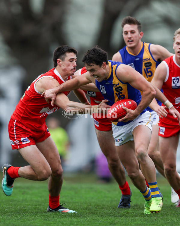 VFL 2025 Round 16 - Northern Bullants v Williamstown - A-60551060