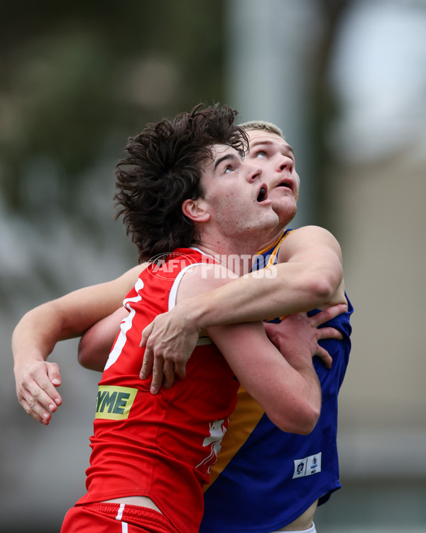 VFL 2025 Round 16 - Northern Bullants v Williamstown - A-60551061