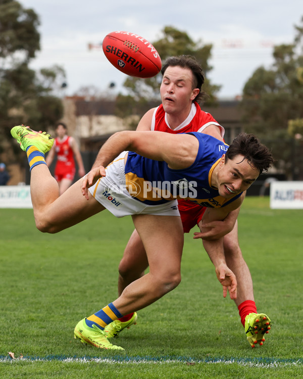 VFL 2025 Round 16 - Northern Bullants v Williamstown - A-60551065
