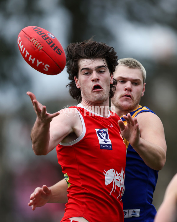 VFL 2025 Round 16 - Northern Bullants v Williamstown - A-60551349
