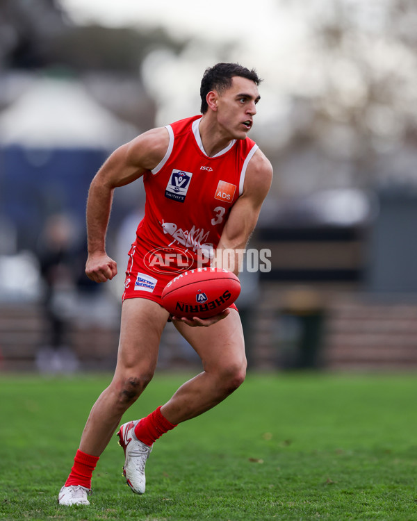 VFL 2025 Round 16 - Northern Bullants v Williamstown - A-60551351