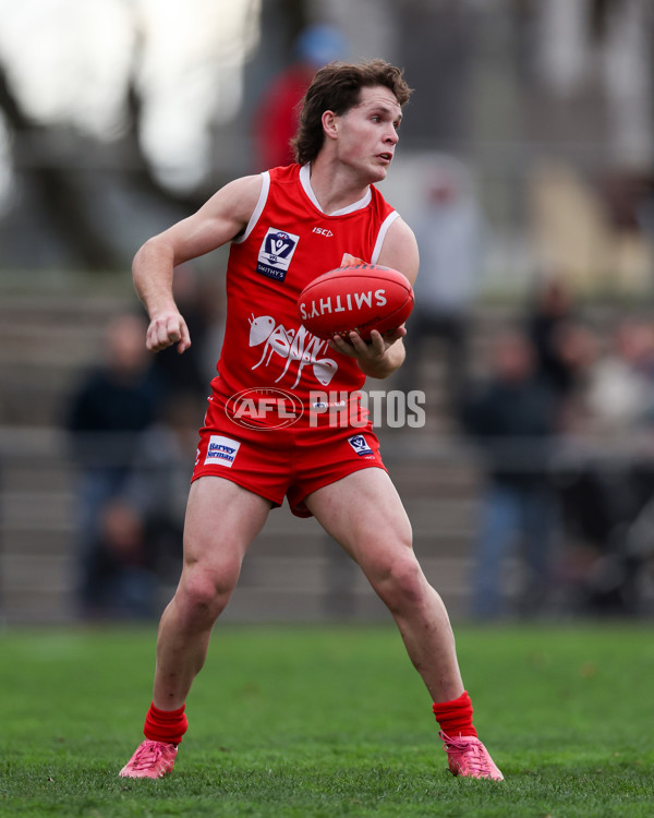 VFL 2025 Round 16 - Northern Bullants v Williamstown - A-60551356