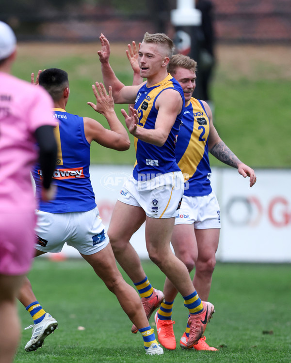 VFL 2025 Round 16 - Northern Bullants v Williamstown - A-60553613