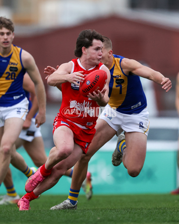 VFL 2025 Round 16 - Northern Bullants v Williamstown - A-60553615