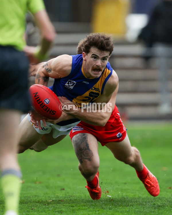 VFL 2025 Round 16 - Northern Bullants v Williamstown - A-60553619