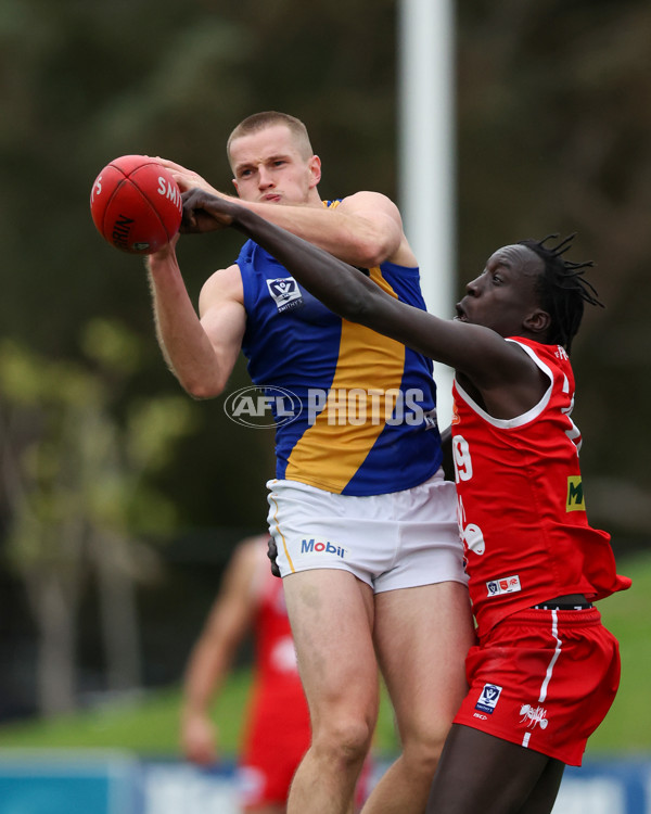 VFL 2025 Round 16 - Northern Bullants v Williamstown - A-60553624