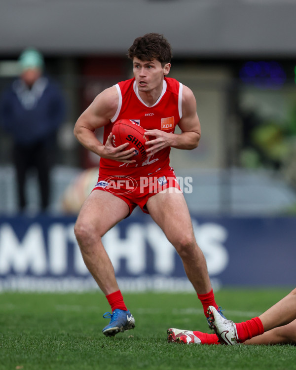 VFL 2025 Round 16 - Northern Bullants v Williamstown - A-60553989