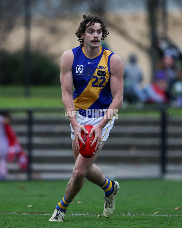 VFL 2025 Round 16 - Northern Bullants v Williamstown - A-60553997