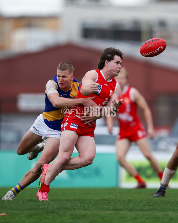 VFL 2025 Round 16 - Northern Bullants v Williamstown - A-60553999